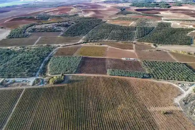 Cartographie_des_vins_israéliens