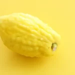 Le cédrat, l'étrog ou la pomme d'or - Yedia.org - Yedia.org Le cédrat, l'étrog ou la pomme d'or