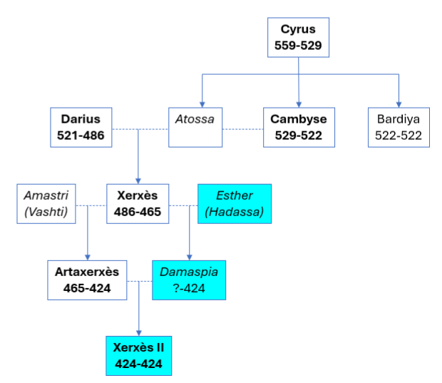 assuerus lignee