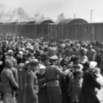 Comité international de la croix rouge pendant la shoah